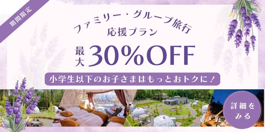 セールプラン