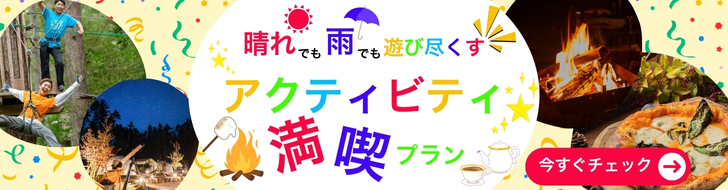 アクティビティ満喫プランのバナー